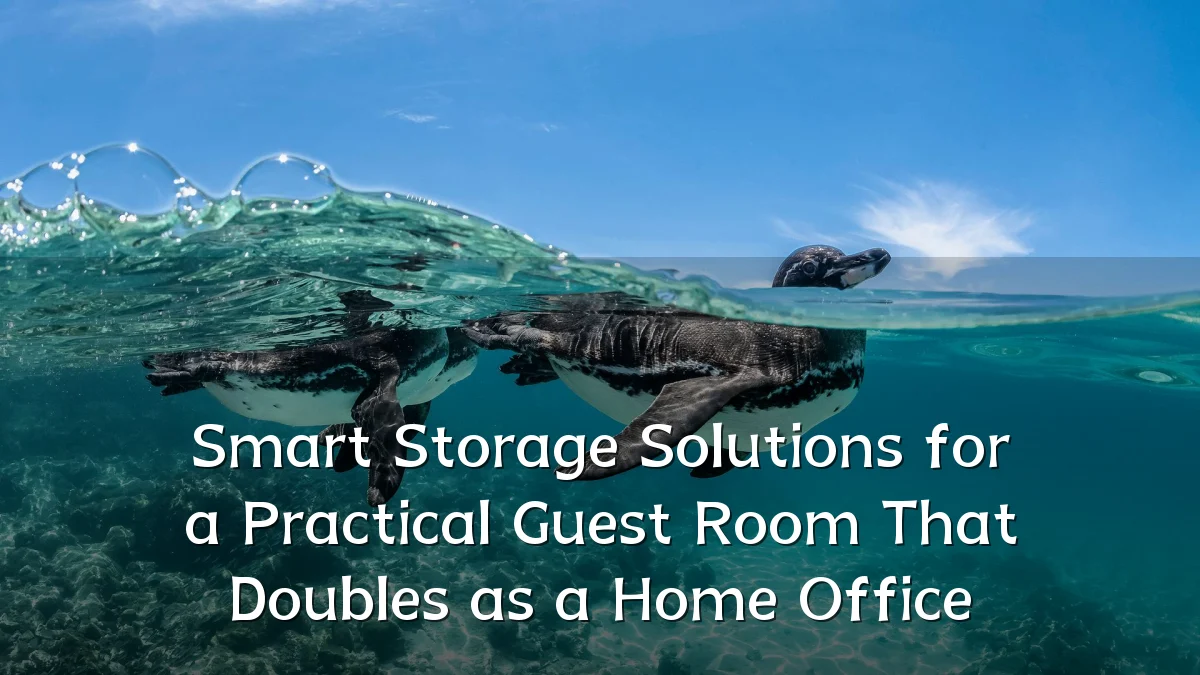 Smart Storage Solutions for a Practical Guest Room That Doubles as a Home Office