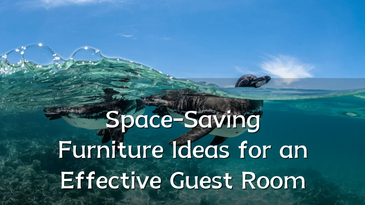 Space-Saving Furniture Ideas for an Effective Guest Room
