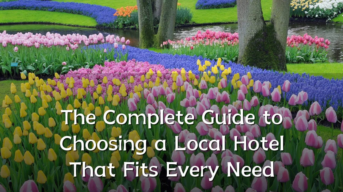 The Complete Guide to Choosing a Local Hotel That Fits Every Need