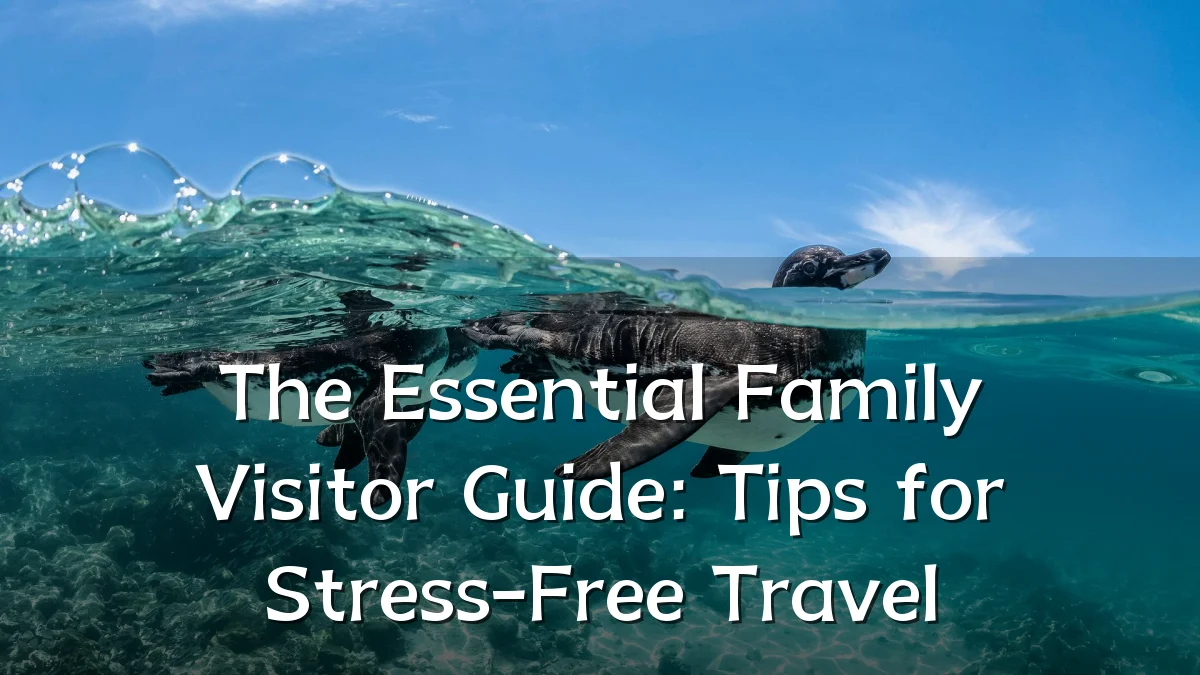 The Essential Family Visitor Guide: Tips for Stress-Free Travel