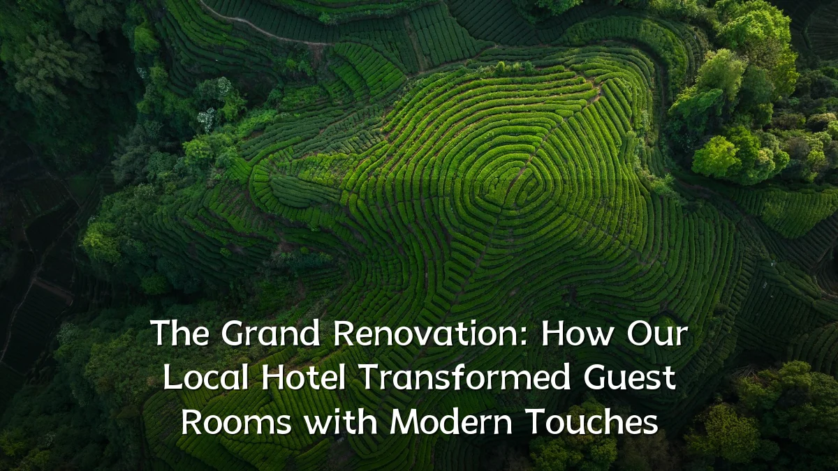 The Grand Renovation: How Our Local Hotel Transformed Guest Rooms with Modern Touches