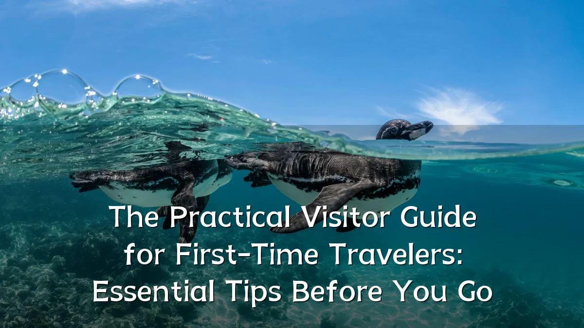 The Practical Visitor Guide for First-Time Travelers: Essential Tips Before You Go