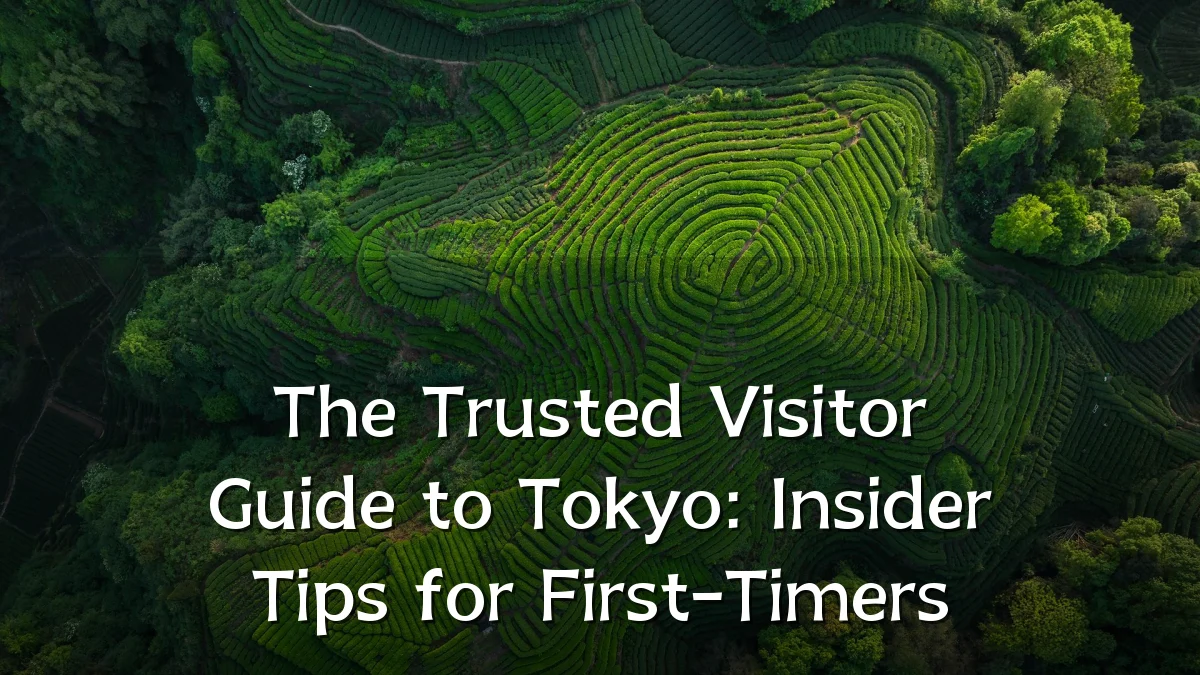 The Trusted Visitor Guide to Tokyo: Insider Tips for First-Timers