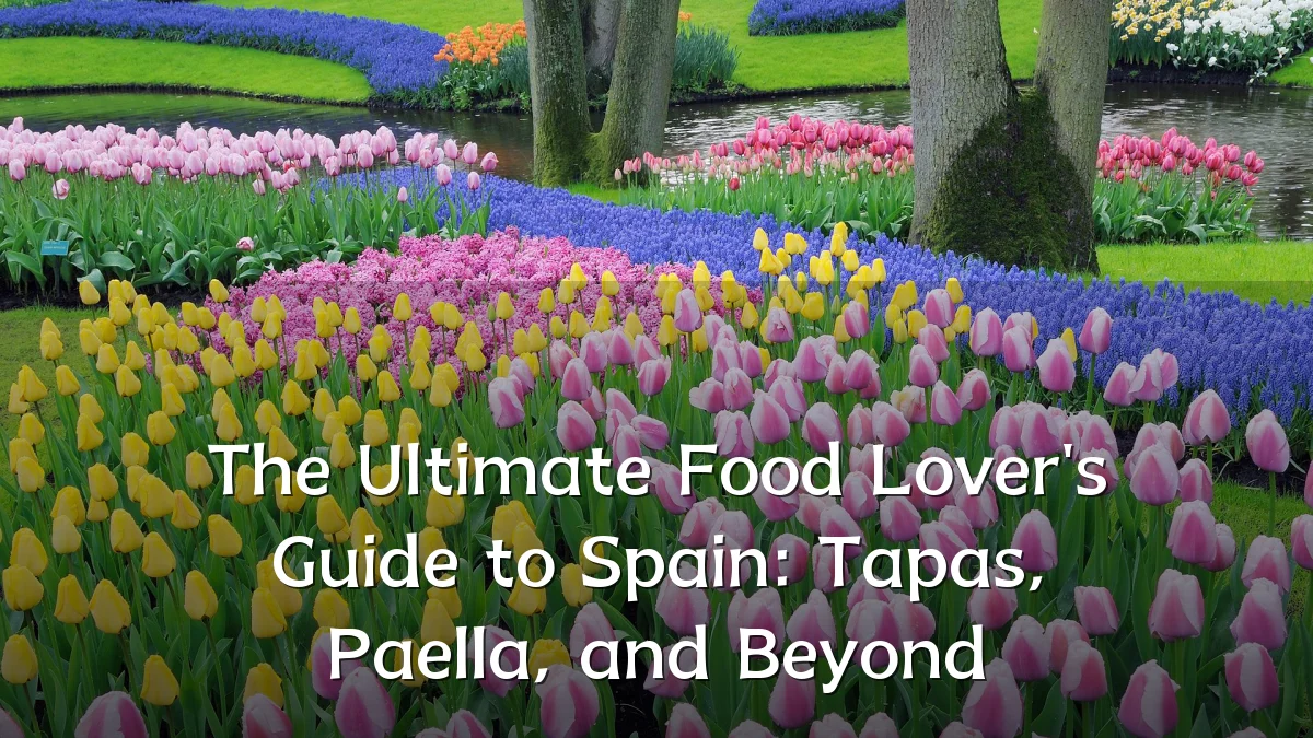 The Ultimate Food Lover's Guide to Spain: Tapas, Paella, and Beyond