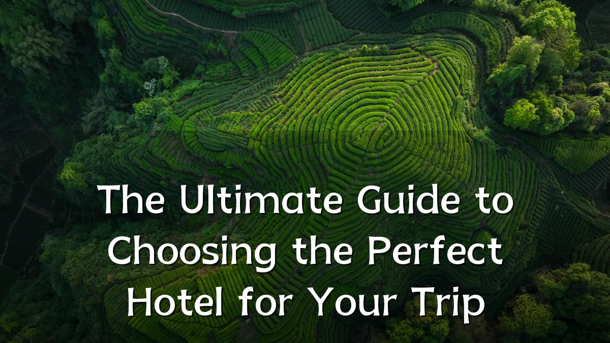 The Ultimate Guide to Choosing the Perfect Hotel for Your Trip