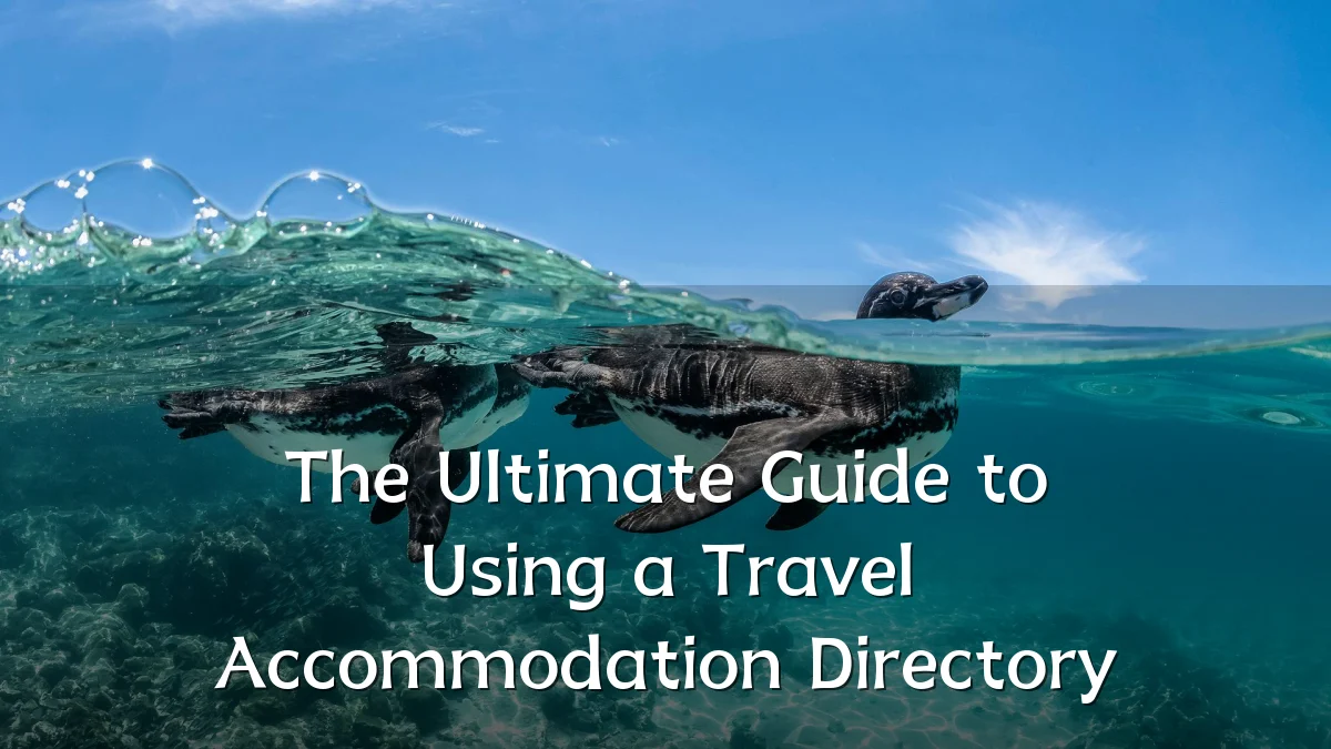 The Ultimate Guide to Using a Travel Accommodation Directory