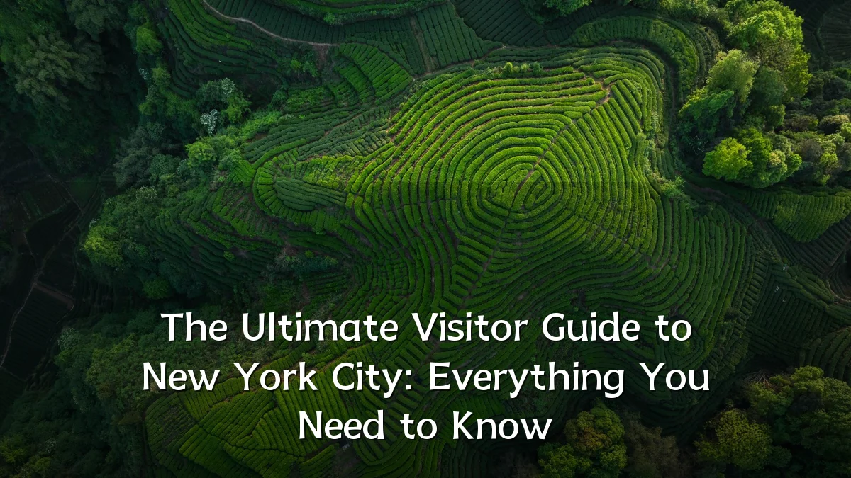The Ultimate Visitor Guide to New York City: Everything You Need to Know