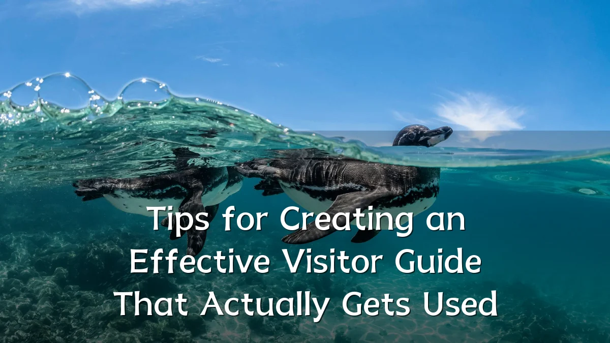 Tips for Creating an Effective Visitor Guide That Actually Gets Used