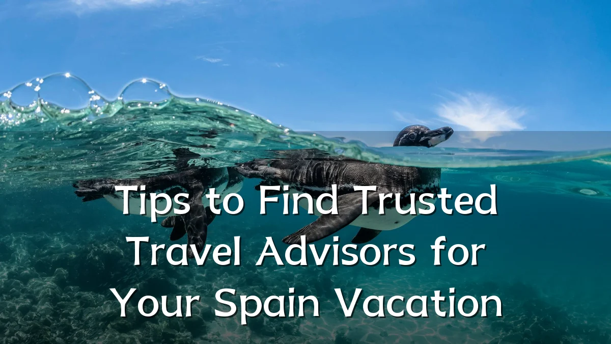 Tips to Find Trusted Travel Advisors for Your Spain Vacation