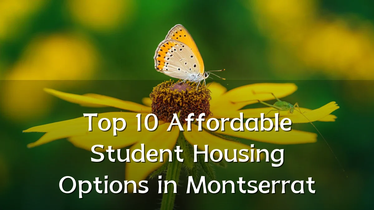 Top 10 Affordable Student Housing Options in Montserrat