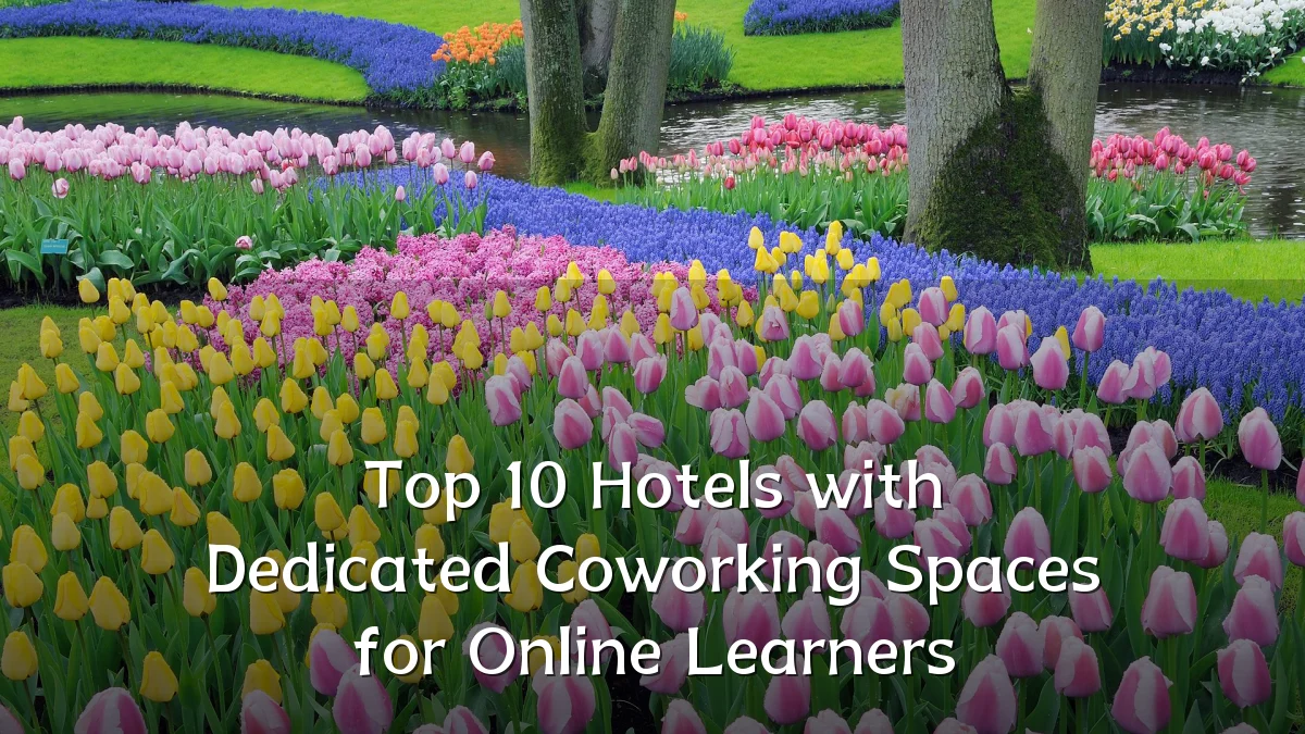 Top 10 Hotels with Dedicated Coworking Spaces for Online Learners