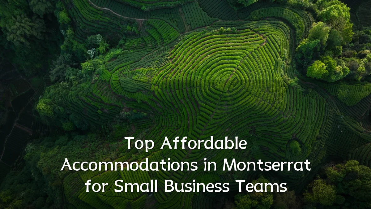 Top Affordable Accommodations in Montserrat for Small Business Teams