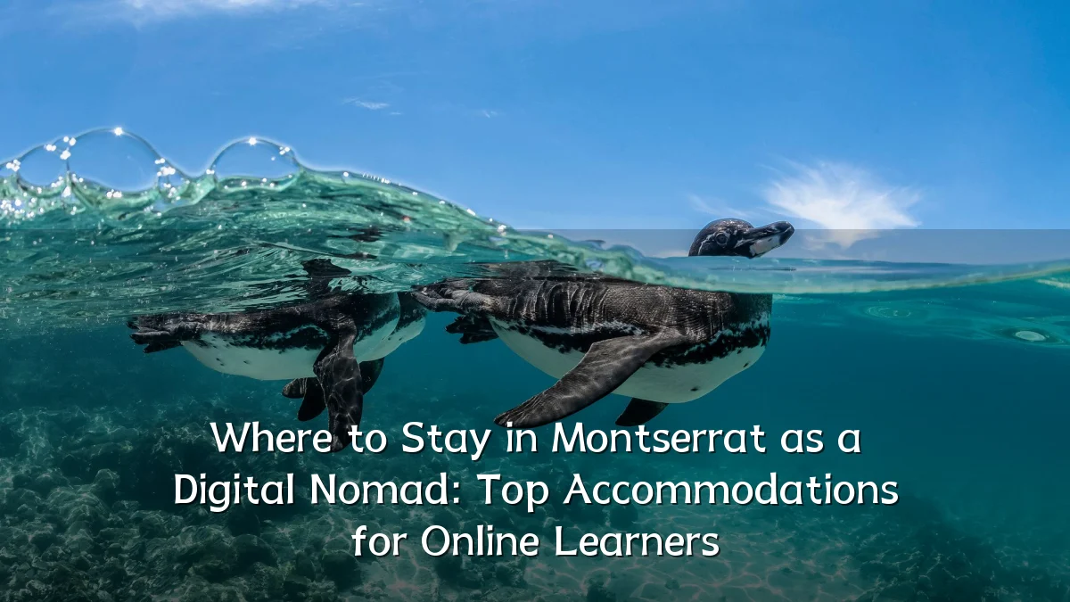 Where to Stay in Montserrat as a Digital Nomad: Top Accommodations for Online Learners