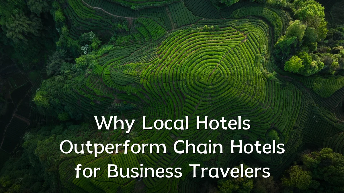 Why Local Hotels Outperform Chain Hotels for Business Travelers