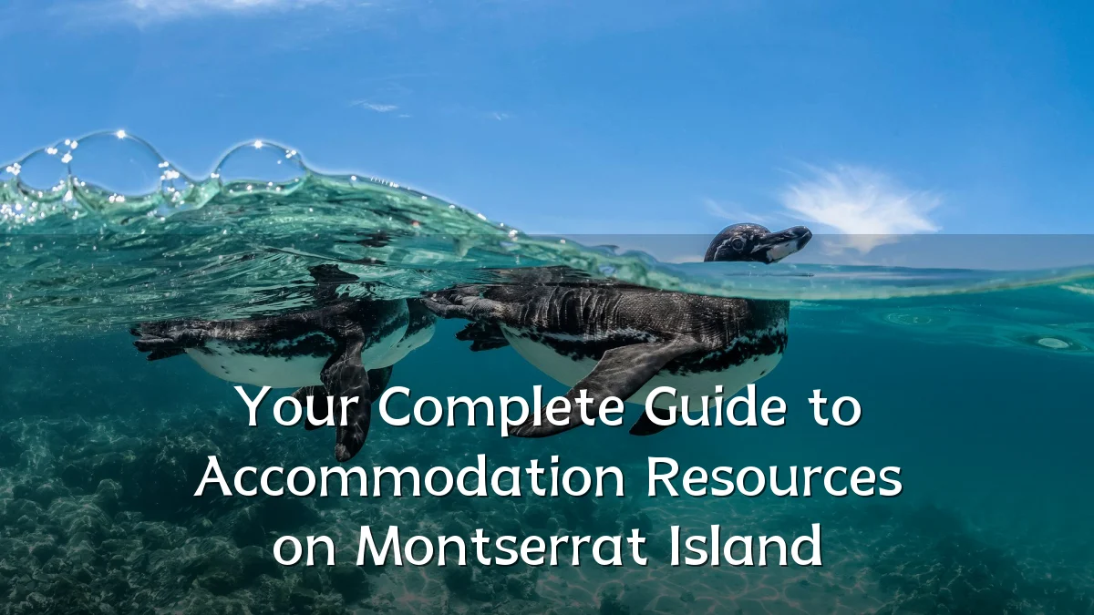 Your Complete Guide to Accommodation Resources on Montserrat Island